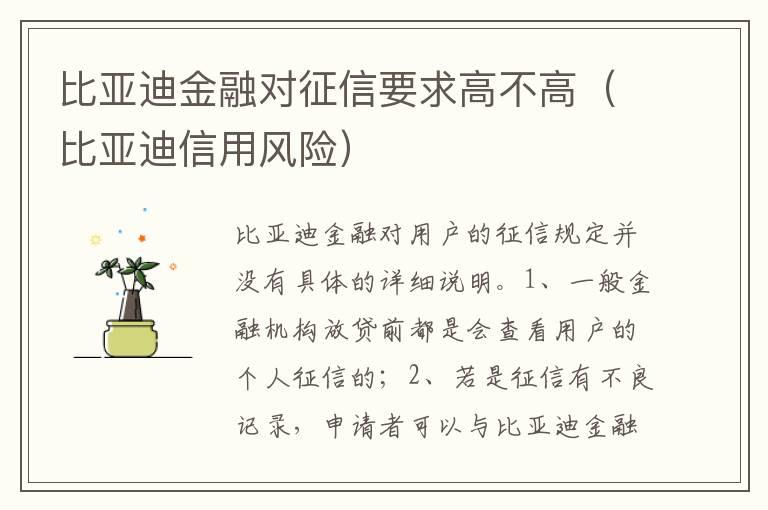 比亚迪金融对征信要求高不高（比亚迪信用风险）