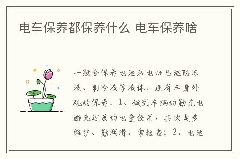 电车保养都保养什么 电车保养啥
