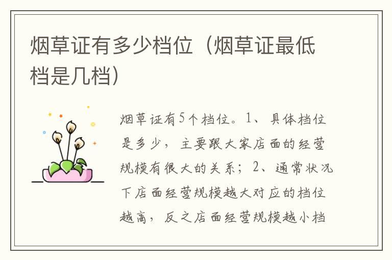 烟草证有多少档位（烟草证最低档是几档）