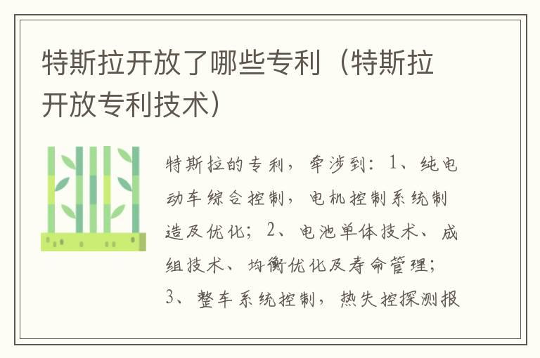 特斯拉开放了哪些专利（特斯拉开放专利技术）