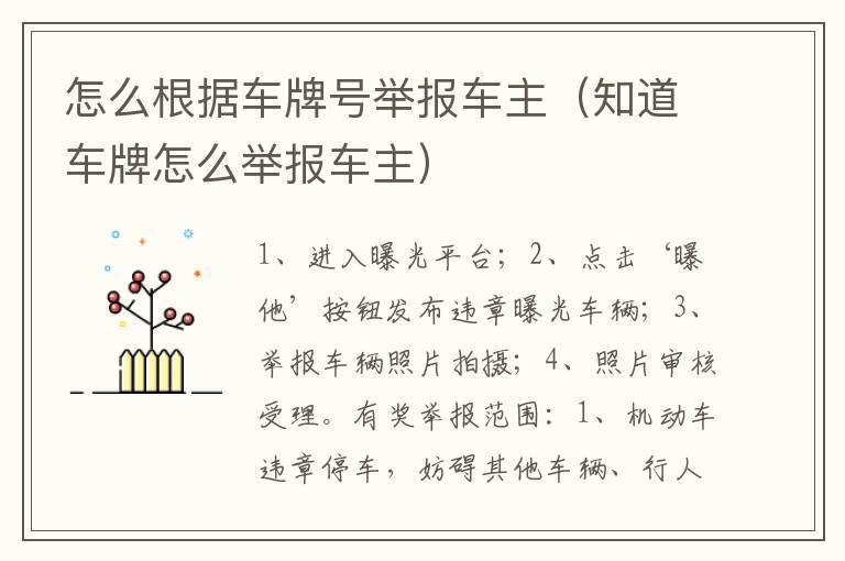 怎么根据车牌号举报车主（知道车牌怎么举报车主）