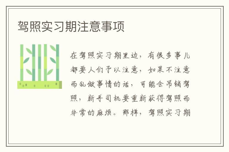 驾照实习期注意事项