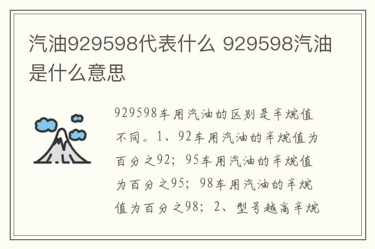 汽油929598代表什么 929598汽油是什么意思