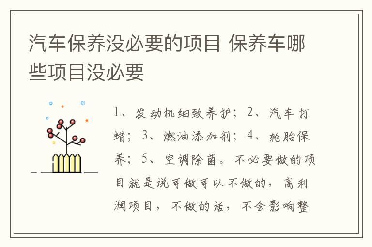 汽车保养没必要的项目 保养车哪些项目没必要