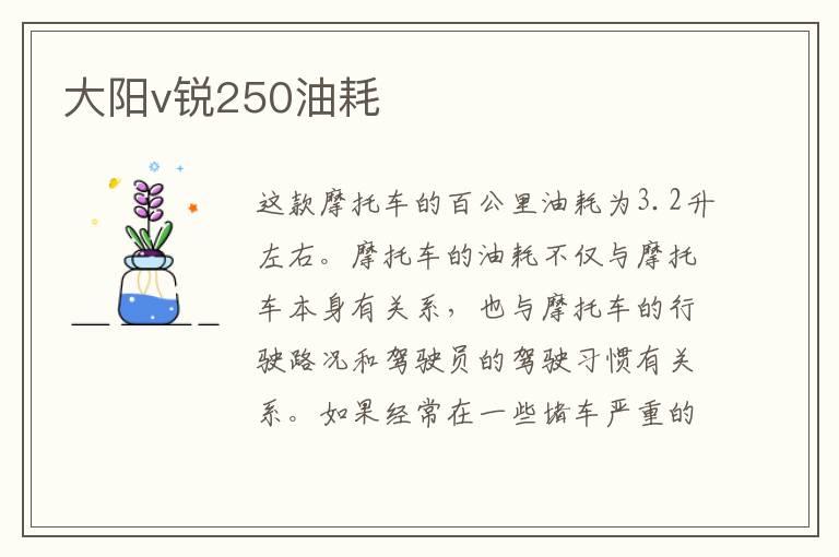 大阳v锐250油耗