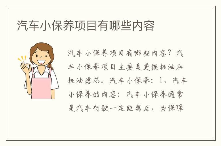 汽车小保养项目有哪些内容