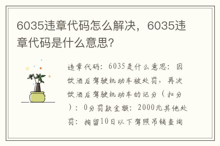 6035违章代码怎么解决，6035违章代码是什么意思？