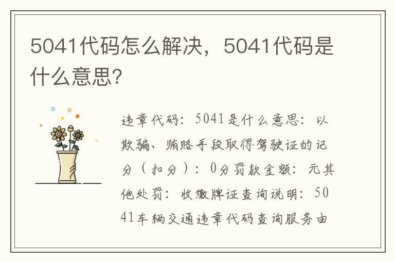 5041代码怎么解决，5041代码是什么意思？