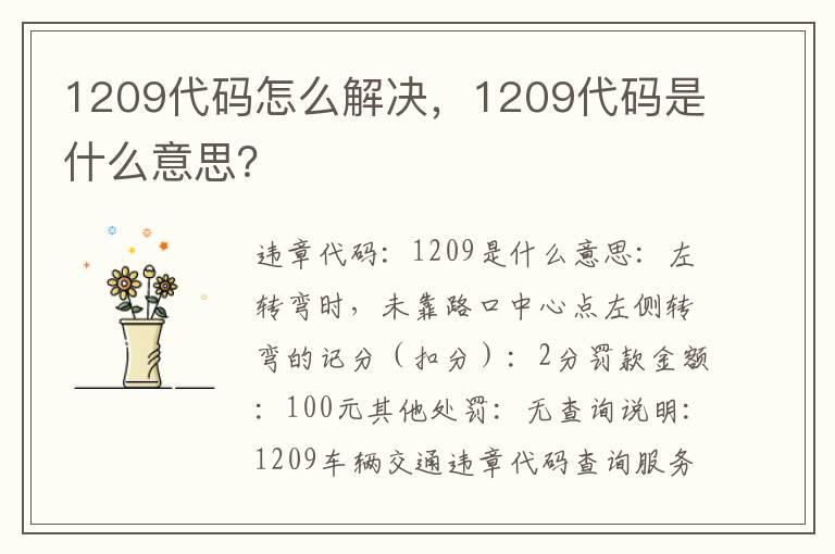 1209代码怎么解决，1209代码是什么意思？