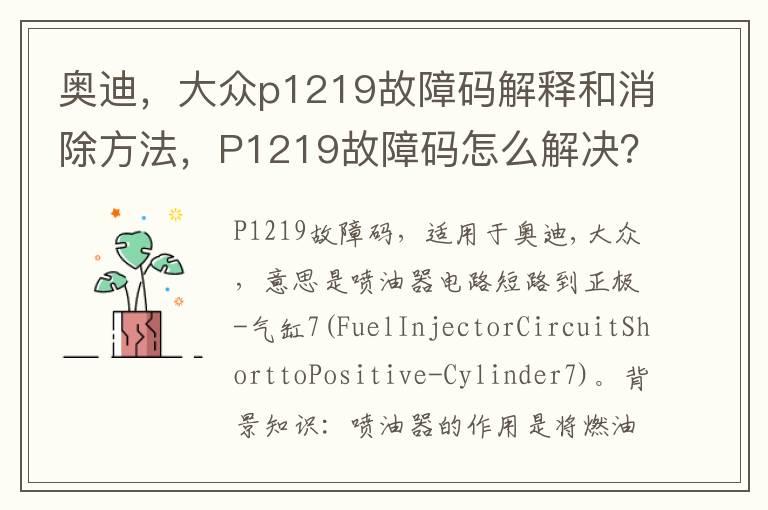 奥迪，大众p1219故障码解释和消除方法，P1219故障码怎么解决？