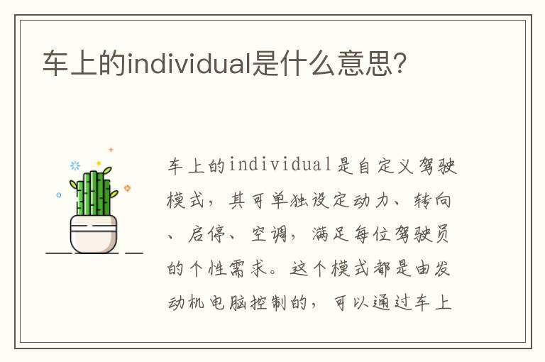 车上的individual是什么意思？