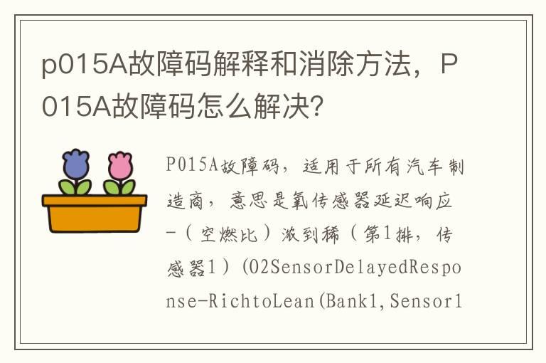 p015A故障码解释和消除方法，P015A故障码怎么解决？