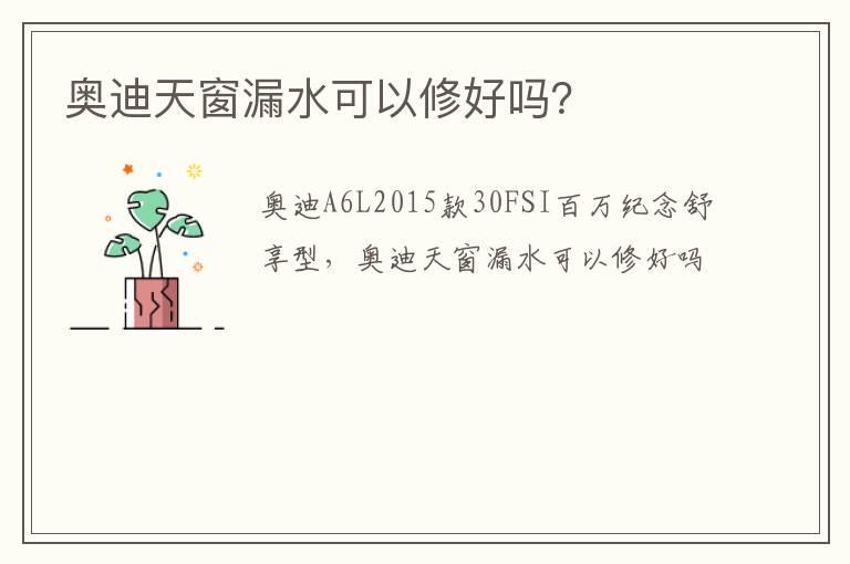 奥迪天窗漏水可以修好吗？