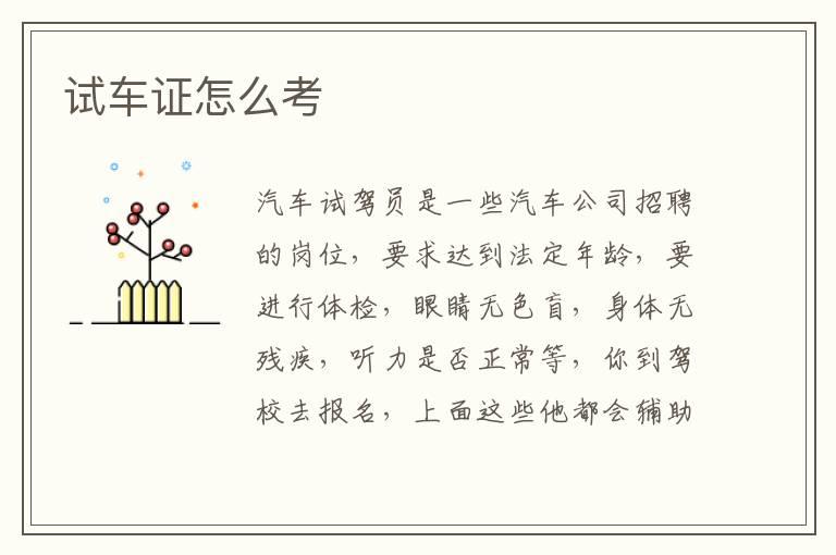 试车证怎么考