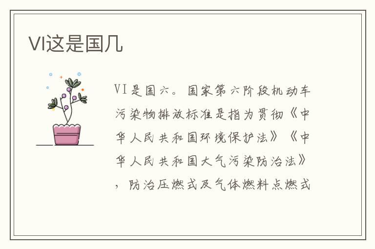 VI这是国几