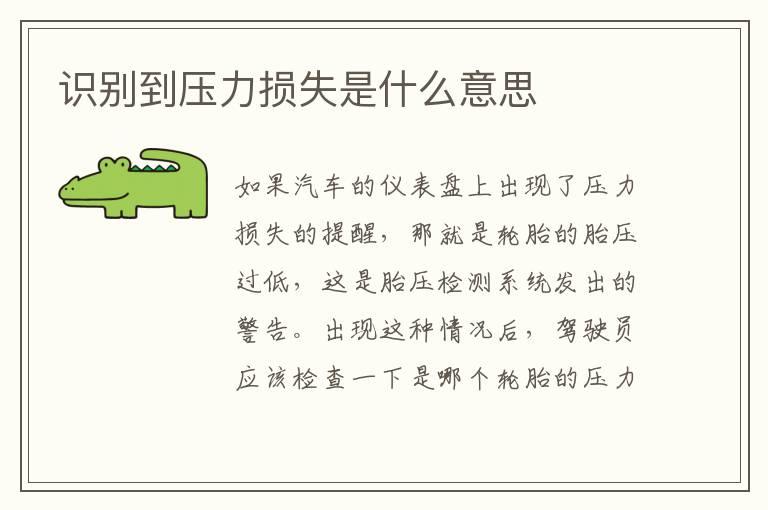 识别到压力损失是什么意思