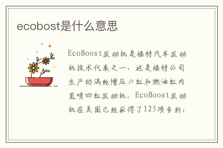 ecobost是什么意思