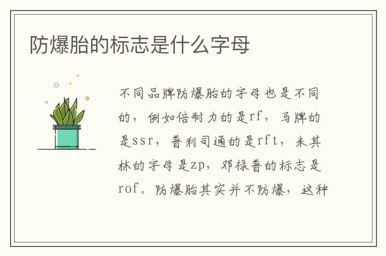 防爆胎的标志是什么字母