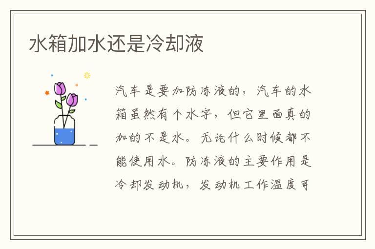 水箱加水还是冷却液