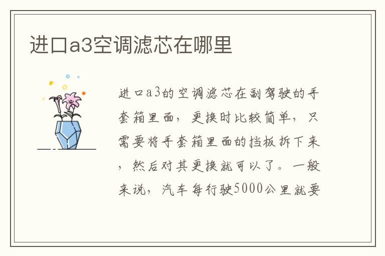 进口a3空调滤芯在哪里