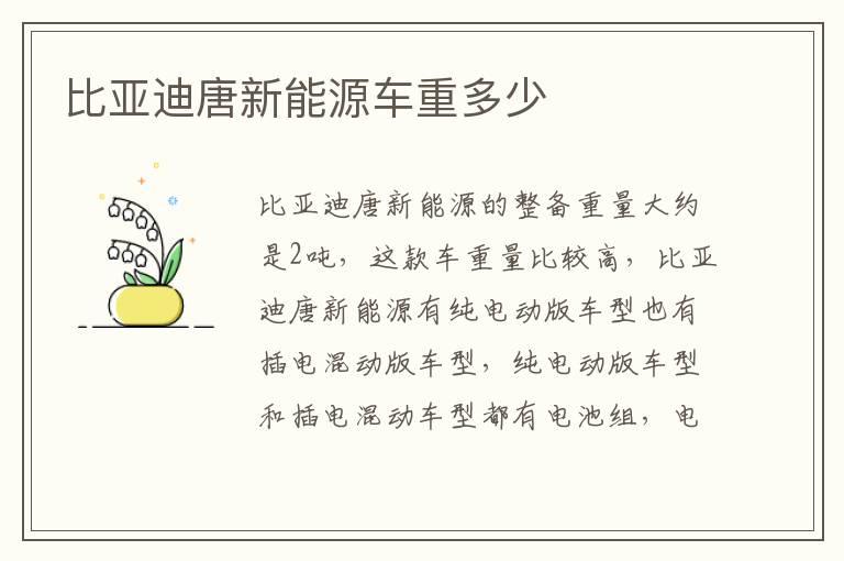 比亚迪唐新能源车重多少