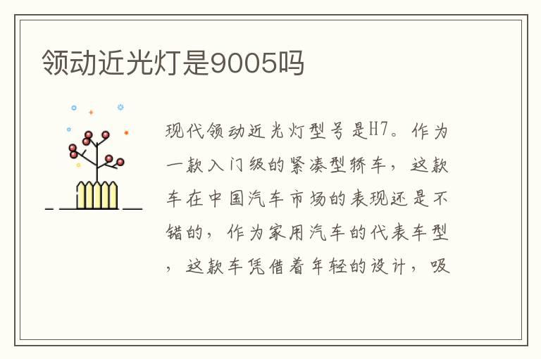 领动近光灯是9005吗