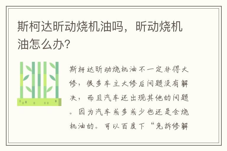 斯柯达昕动烧机油吗，昕动烧机油怎么办？
