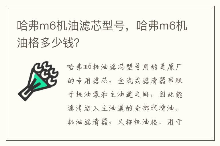 哈弗m6机油滤芯型号，哈弗m6机油格多少钱？