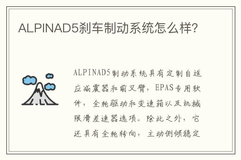 ALPINAD5刹车制动系统怎么样？