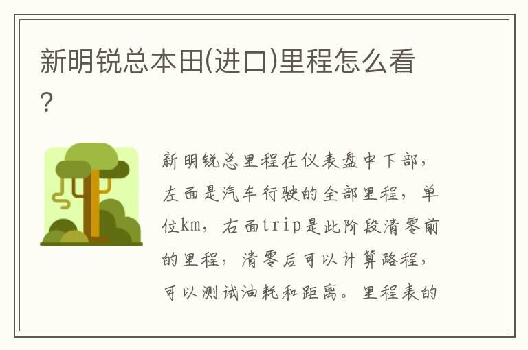 新明锐总本田(进口)里程怎么看？