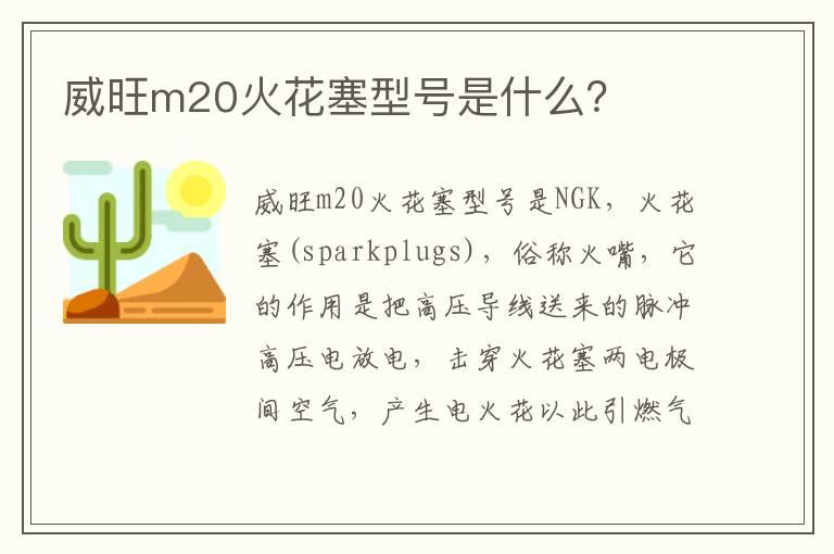 威旺m20火花塞型号是什么？