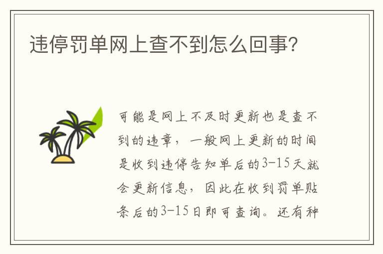 违停罚单网上查不到怎么回事？