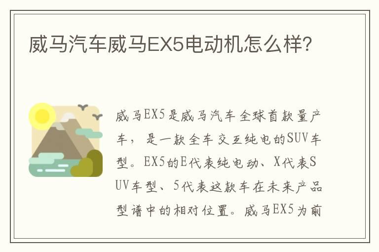 威马汽车威马EX5电动机怎么样？