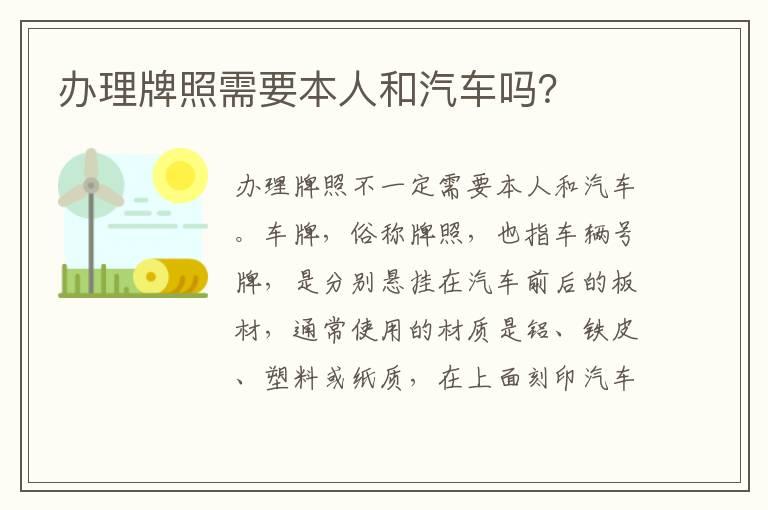办理牌照需要本人和汽车吗？