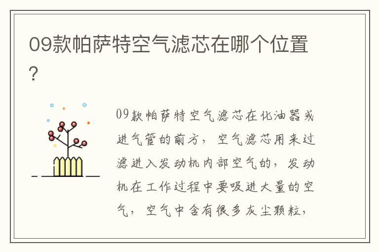 09款帕萨特空气滤芯在哪个位置？