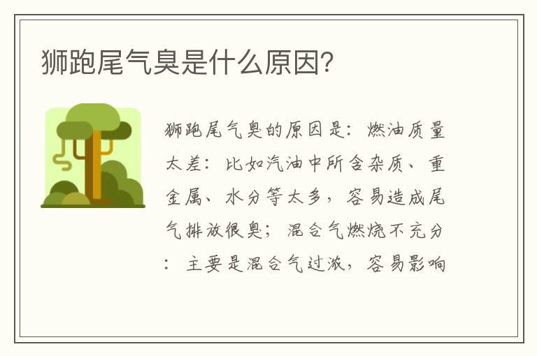 狮跑尾气臭是什么原因？