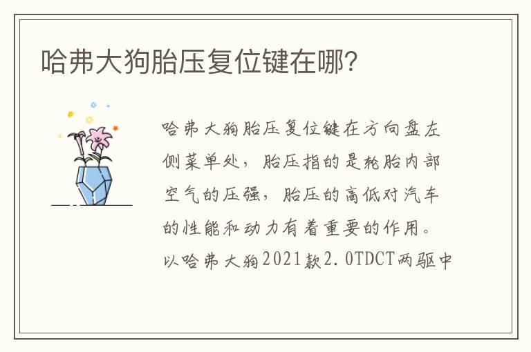 哈弗大狗胎压复位键在哪？