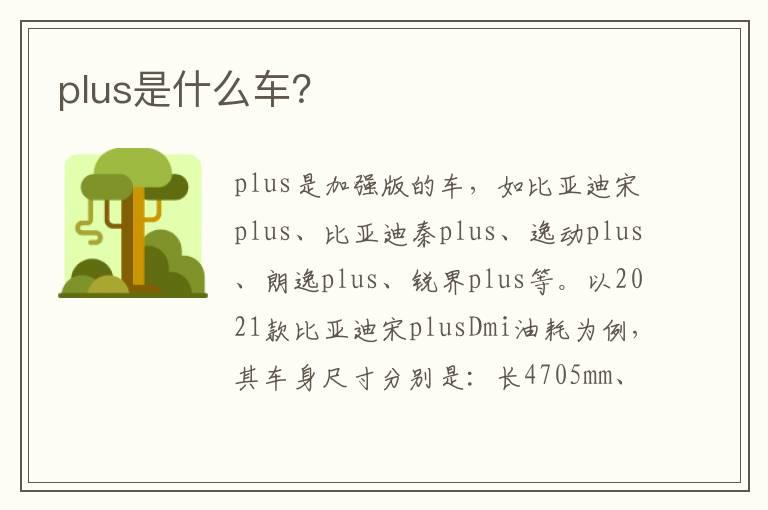 plus是什么车？