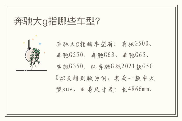 奔驰大g指哪些车型？
