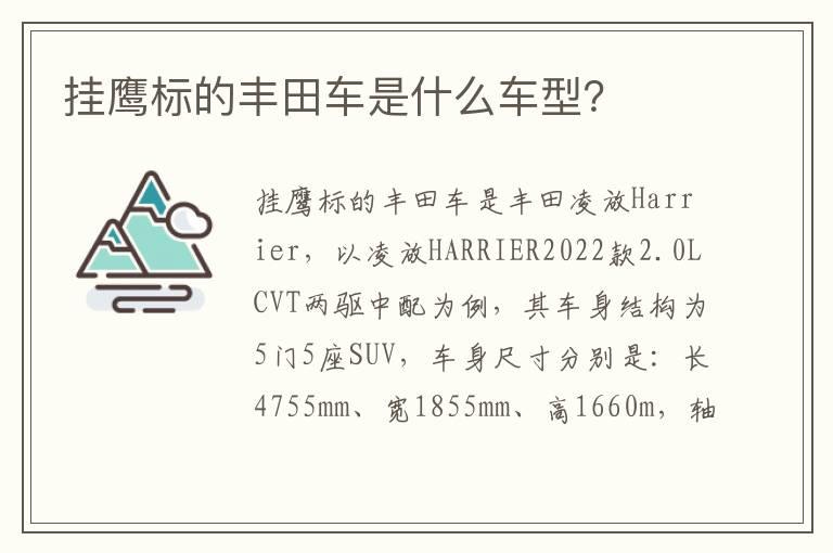 挂鹰标的丰田车是什么车型？