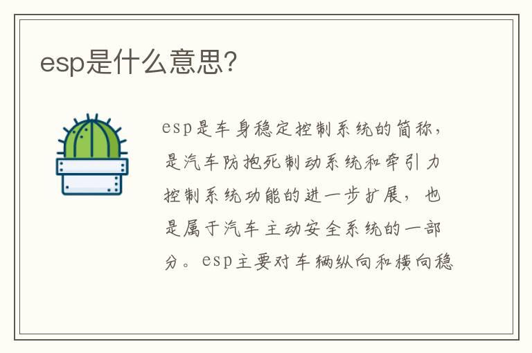 esp是什么意思？