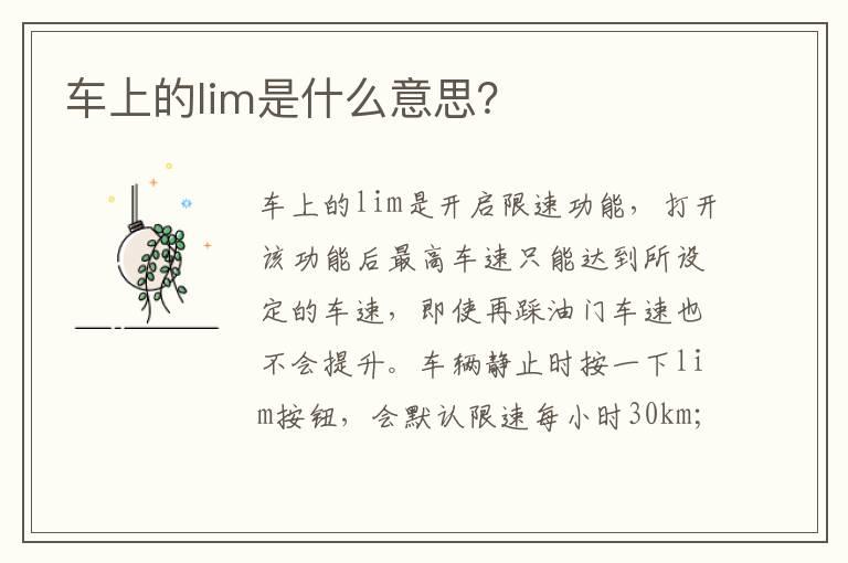 车上的lim是什么意思？