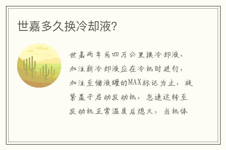 世嘉多久换冷却液？