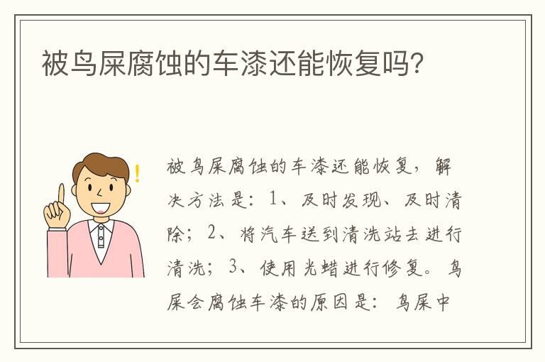 被鸟屎腐蚀的车漆还能恢复吗？