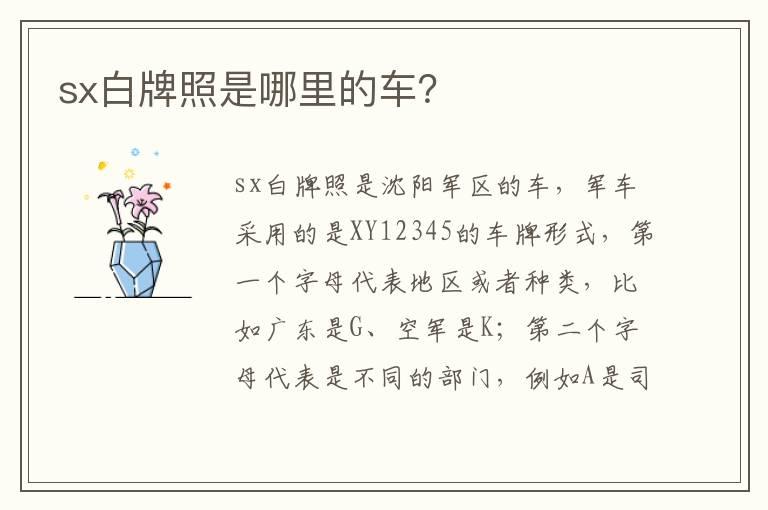 sx白牌照是哪里的车？