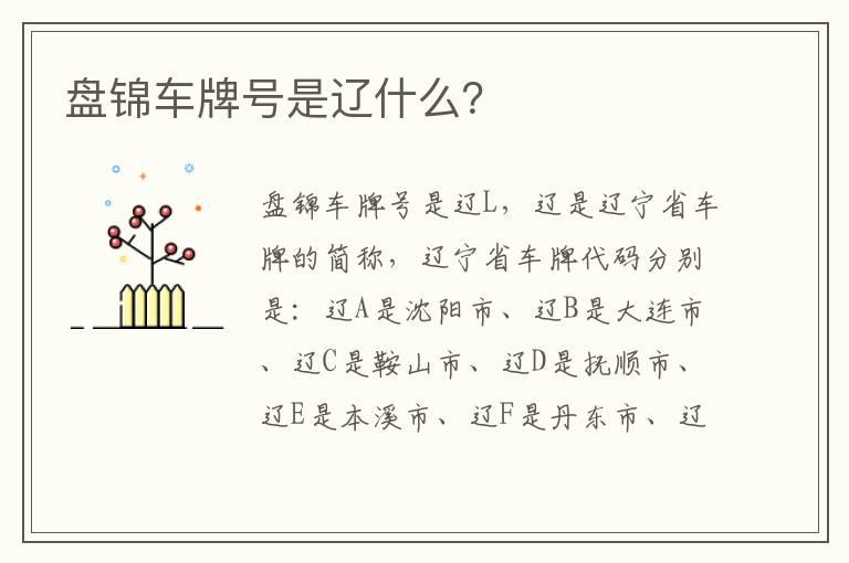 盘锦车牌号是辽什么？