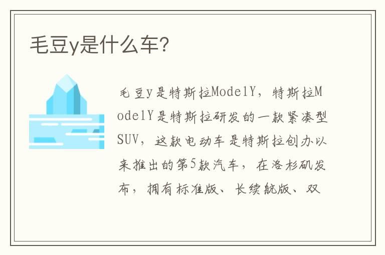 毛豆y是什么车？