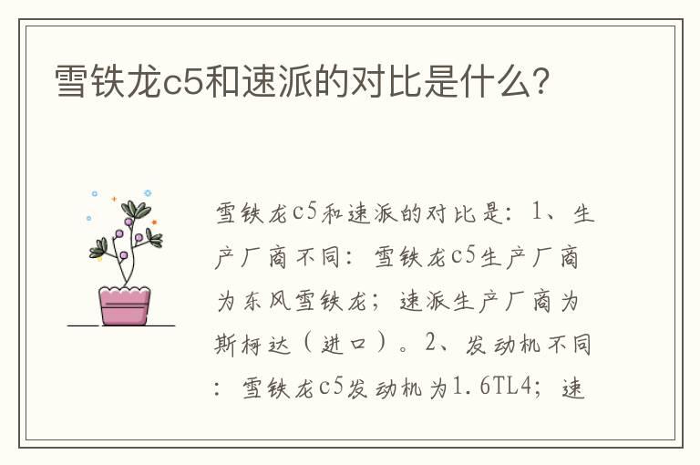 雪铁龙c5和速派的对比是什么？