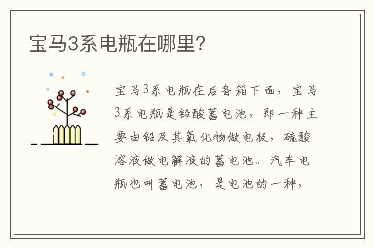 宝马3系电瓶在哪里？
