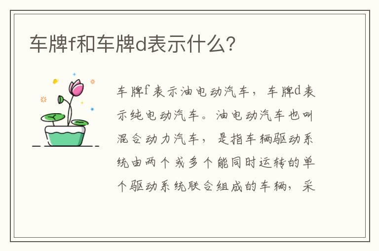 车牌f和车牌d表示什么？
